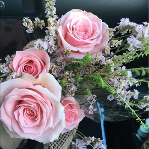 Meet your Posher, Maxine